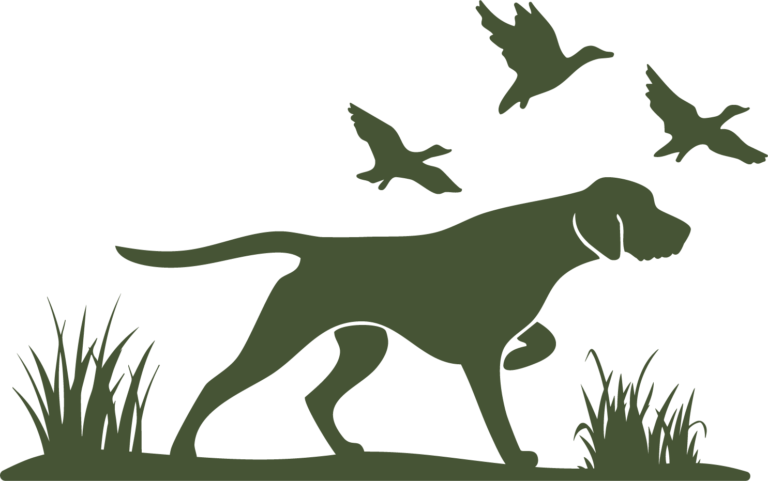 Vektorgrafik Vorstehhund mit Wiese und Vögeln von Jagdhundetrainer Andreas Gomsi