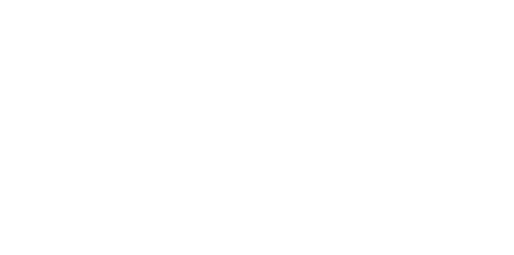 Illustration einer Ente, die über einen Wald fliegt bei den Jagdreisen mit Hund in Ungarn