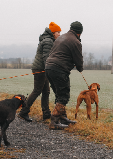 Hund bei der Schweißarbeit mit Jagdhundetrainer Andreas Gomsi in der Steiermark und im Burgenland