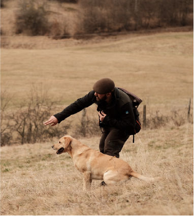 Jagdhund Trainer Andreas Gomsi mit Labrador Retriever beim Dummytraining in der Steiermark